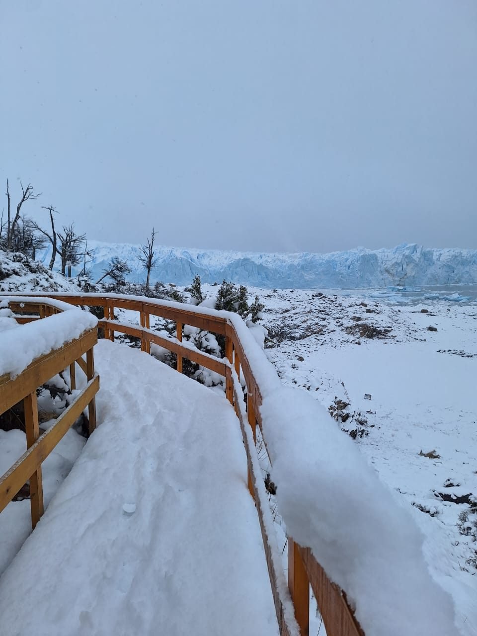 Pasarelas bajo la nieve
